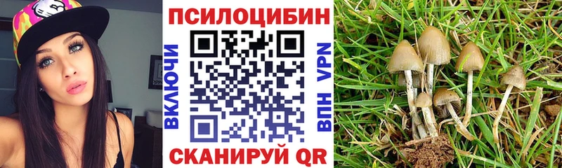 Галлюциногенные грибы Psilocybine cubensis  Онега 